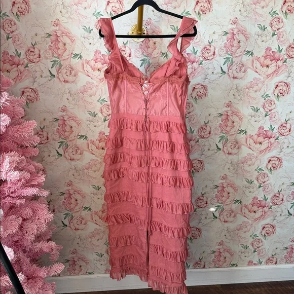 V. Chapman Fiorenza Midi Dress in Dusty Cedar - Picture 8 of 11